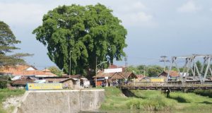 Bendungan Pesayangan